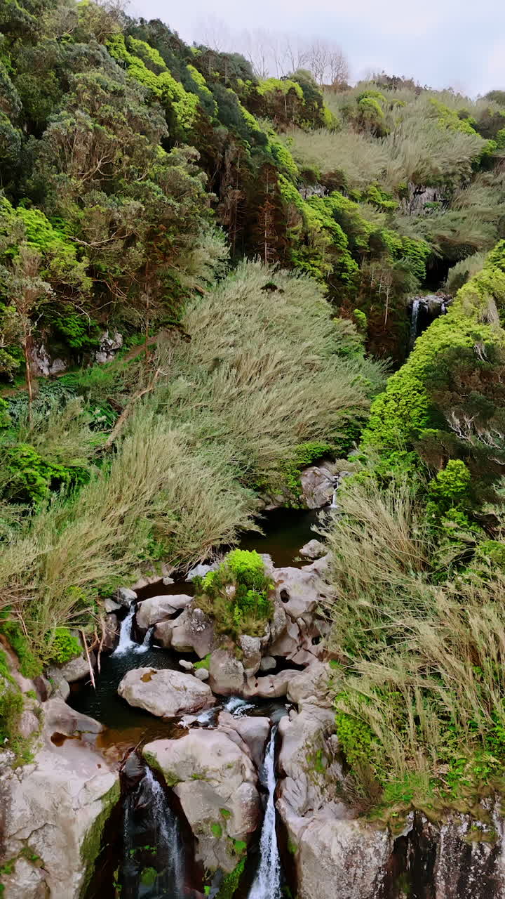 Waterfalls on the rocky cliffs overgrown with beautiful vegetation. Amazing nature of the Azorean Islands. Aerial perspective. Vertical video.