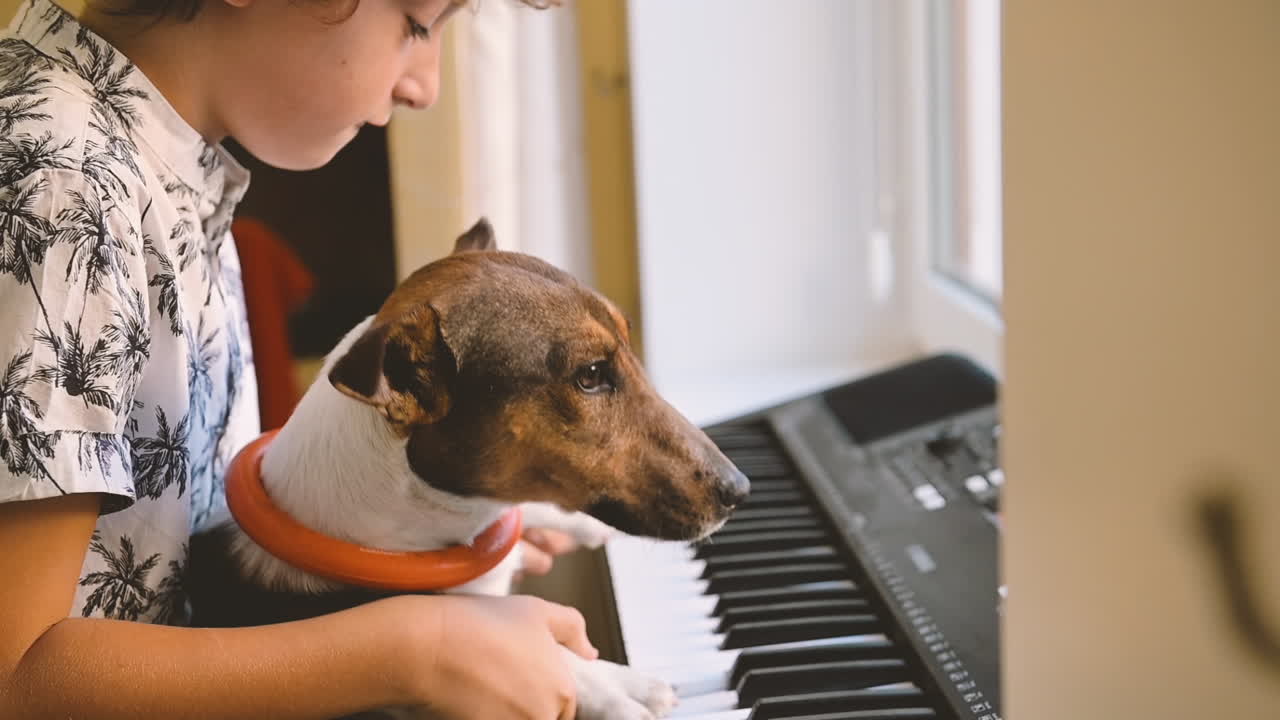 niño sentado frente a un piano con su perro