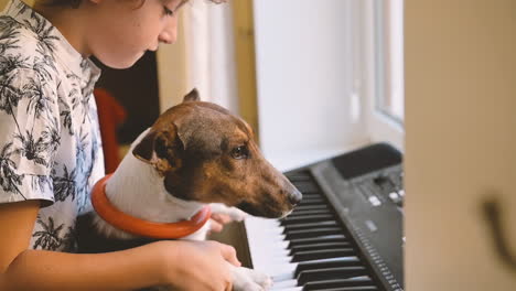 Junge,-Der-Mit-Seinem-Hund-Vor-Einem-Klavier-Sitzt