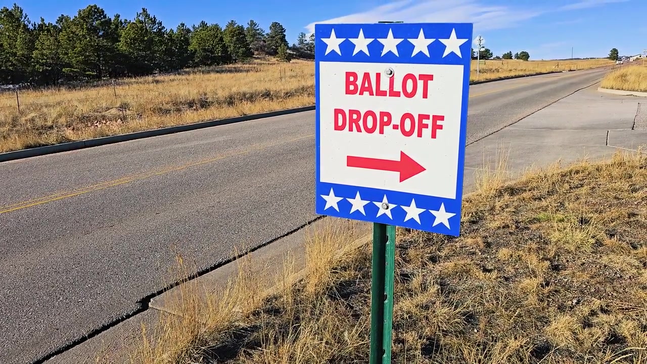 Close view of a patriotic ballot drop-off sign beside a quiet suburban road, showing red text, white stars, blue trim, and an arrow toward the official voting site in daylight.