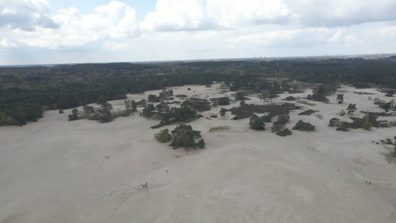 아름다운 모래 언덕 한가운데 푸른 나무의 공중