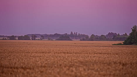 sunset to twilight time lapse in cultivated farmland with a tractor driving through the fields