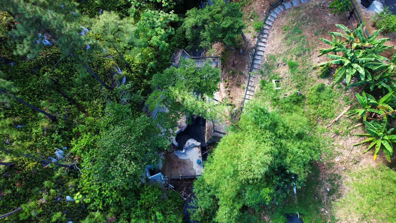 Aerial View of Lush Tropical Forest with Path and Stream