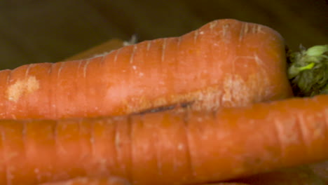 close pan across a bunch of freshly harvested carrots