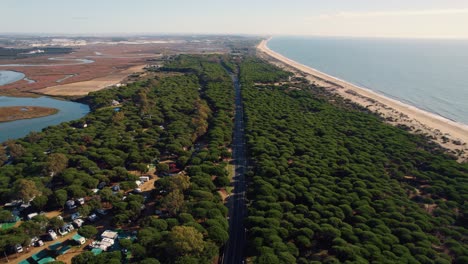 discover the beauty of huelva's beach and wetlands in andalusia, spain: an aerial view