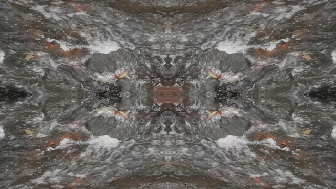 caleidoscopio de tomas de la naturaleza, wissahickon creek