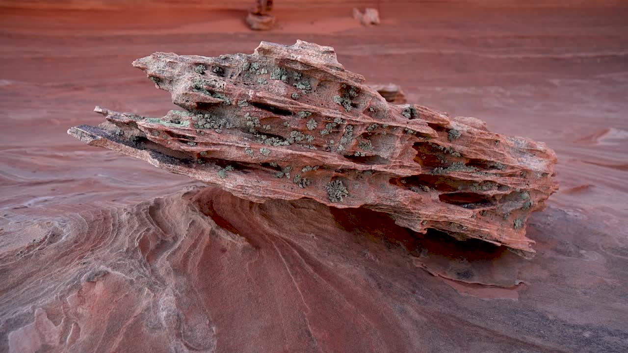 Alien rock formation. Geological masterpiece on the floor of arizona desert. Wind carved sandstone growing moss.