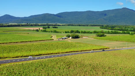 vehicles traveling on country road among green fields and vegetation in cairns, queensland, australia - aerial drone shot