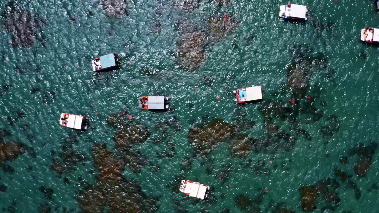 magnífica vista aérea de pájaro desde arriba del arrecife tropical de maracajau cerca de natal en el norte de brasil