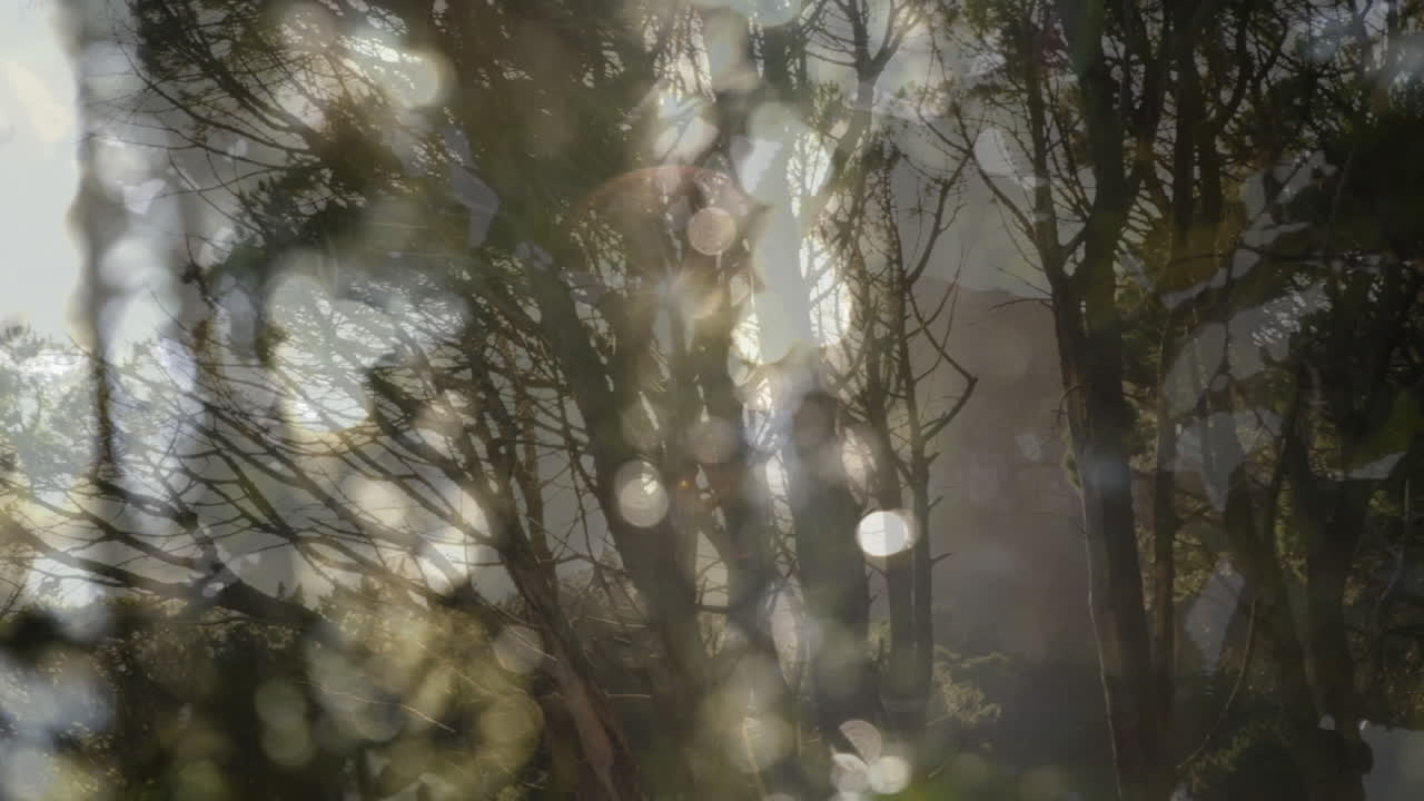 숲과 잎 위의 보케의 애니메이션