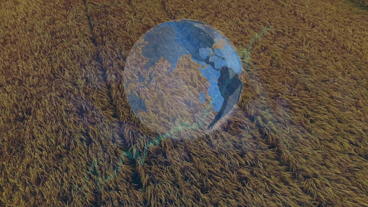 анимация глобальной и финансовой обработки данных по сельскому хозяйству