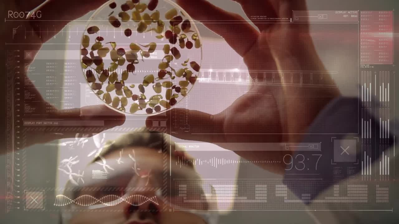 científico estudiando los frijoles