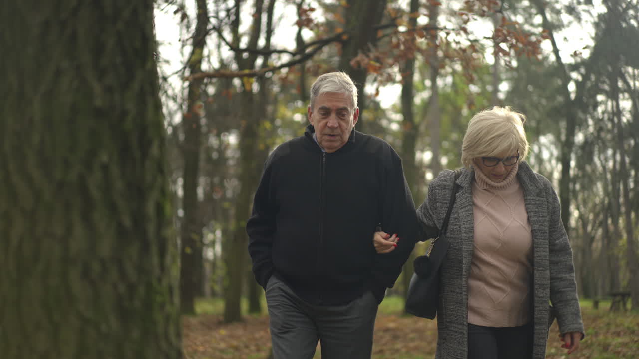 Elderly couple walking in the park in autumn