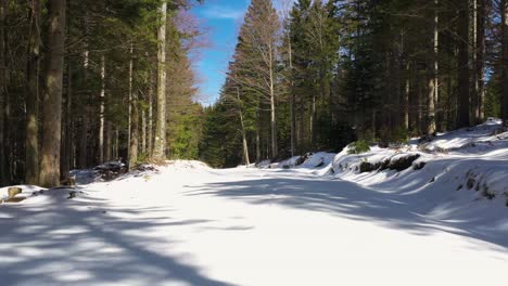 Ein-Blick-Auf-Eine-Straße-In-Mt.-Auf-Augenhöhe