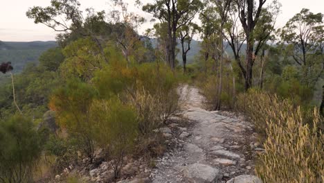 scenic trail through australian bush