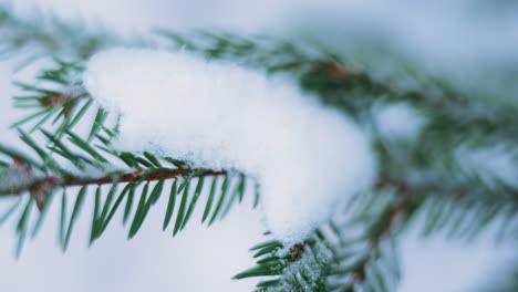 Nieve-Cayendo-En-Un-Bosque