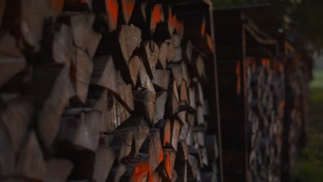 big woodpile in the nature at sunset to make a campfire