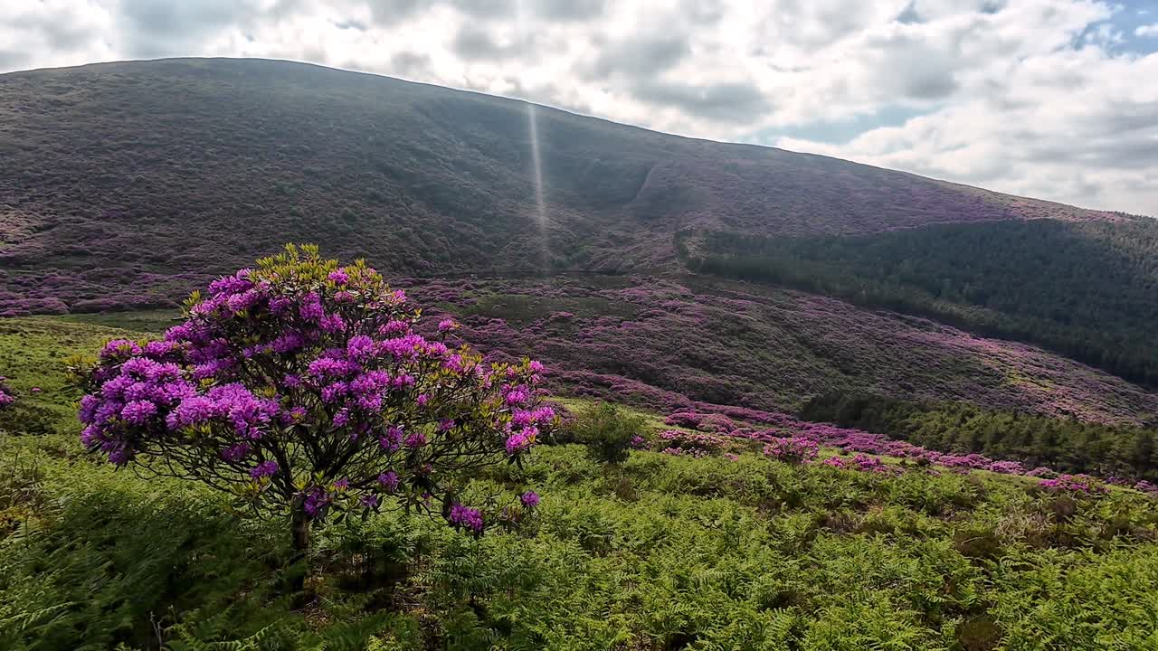 irlanda lugares épicos colores de la montaña el amanecer de vee en una mañana de verano
