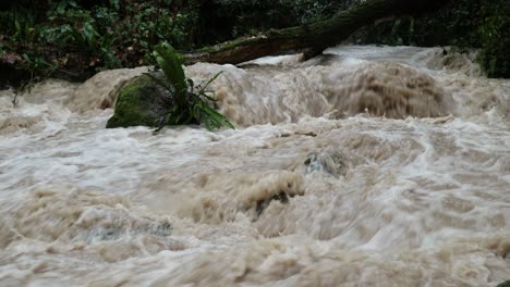 wet wild scenary with a powerful river flood - rushing waters