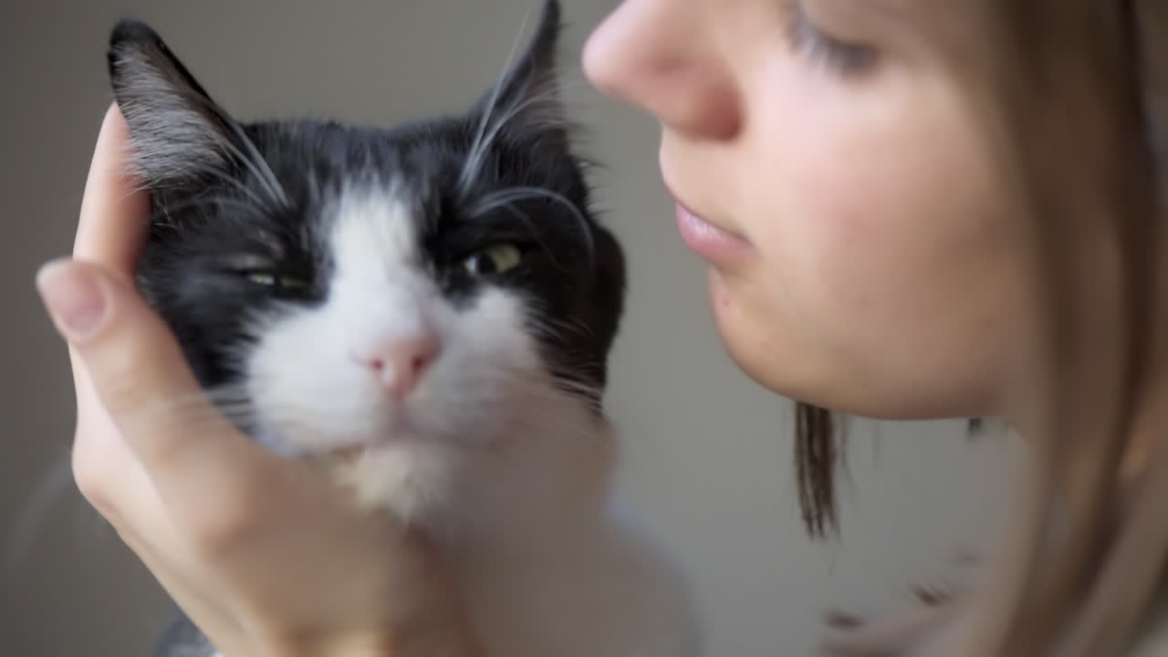 Wanita membelai kucing