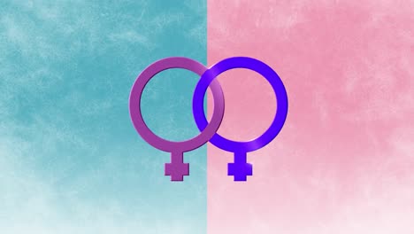 Animation-of-two-linked-purple-and-pink-female-gender-symbols,-identifying-lesbian,-on-pink-and-blue