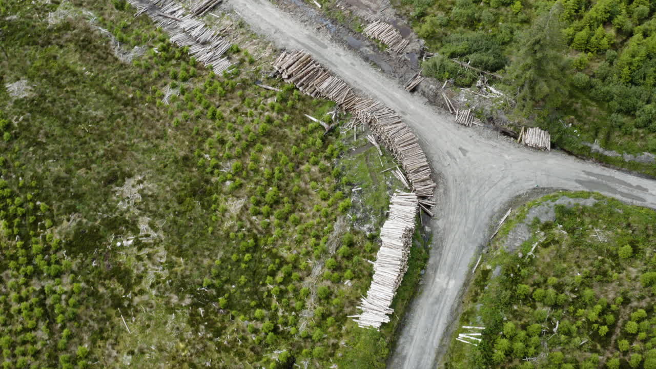 аэрофотосъемка - перекресток на проселочной дороге недалеко от галуэя, ирландия, сверху вниз, круговая панорама