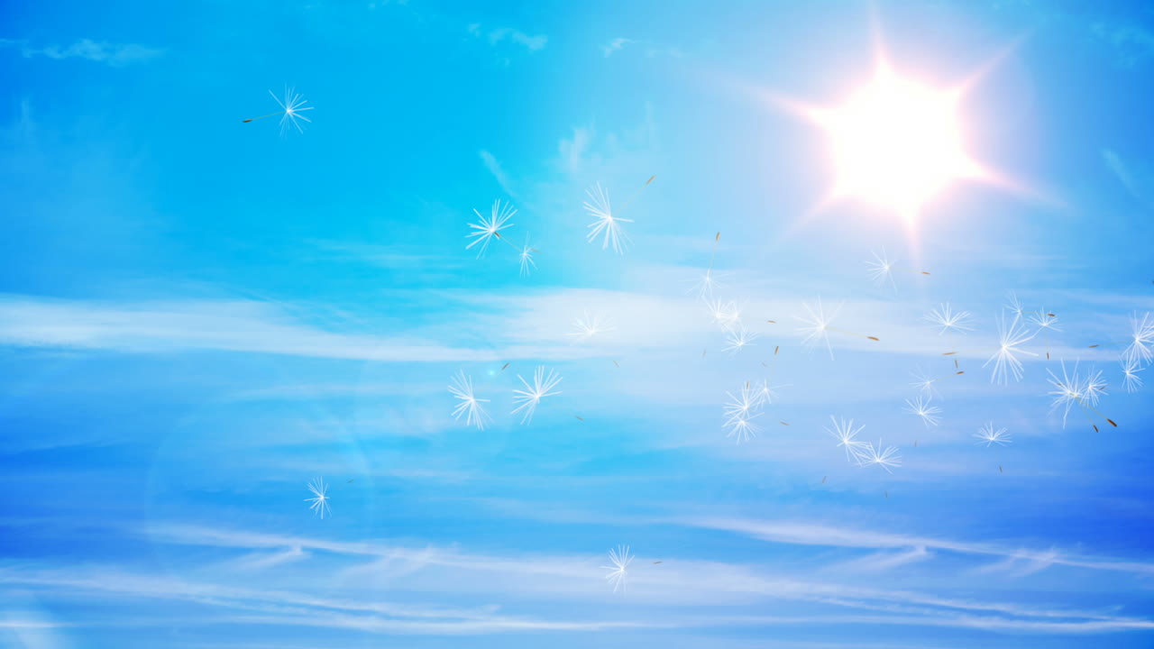 디지털로 생성 된 dandelion 씨