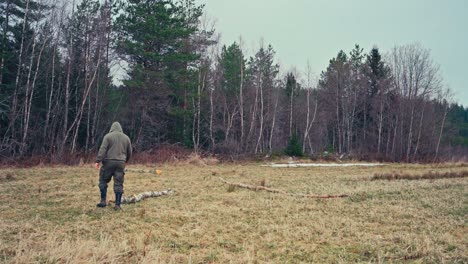 a man is carrying a birch log across a clearing on a chilly day near the edge of the forest - static shot