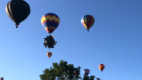 pan, mass hot air balloon launch with lion