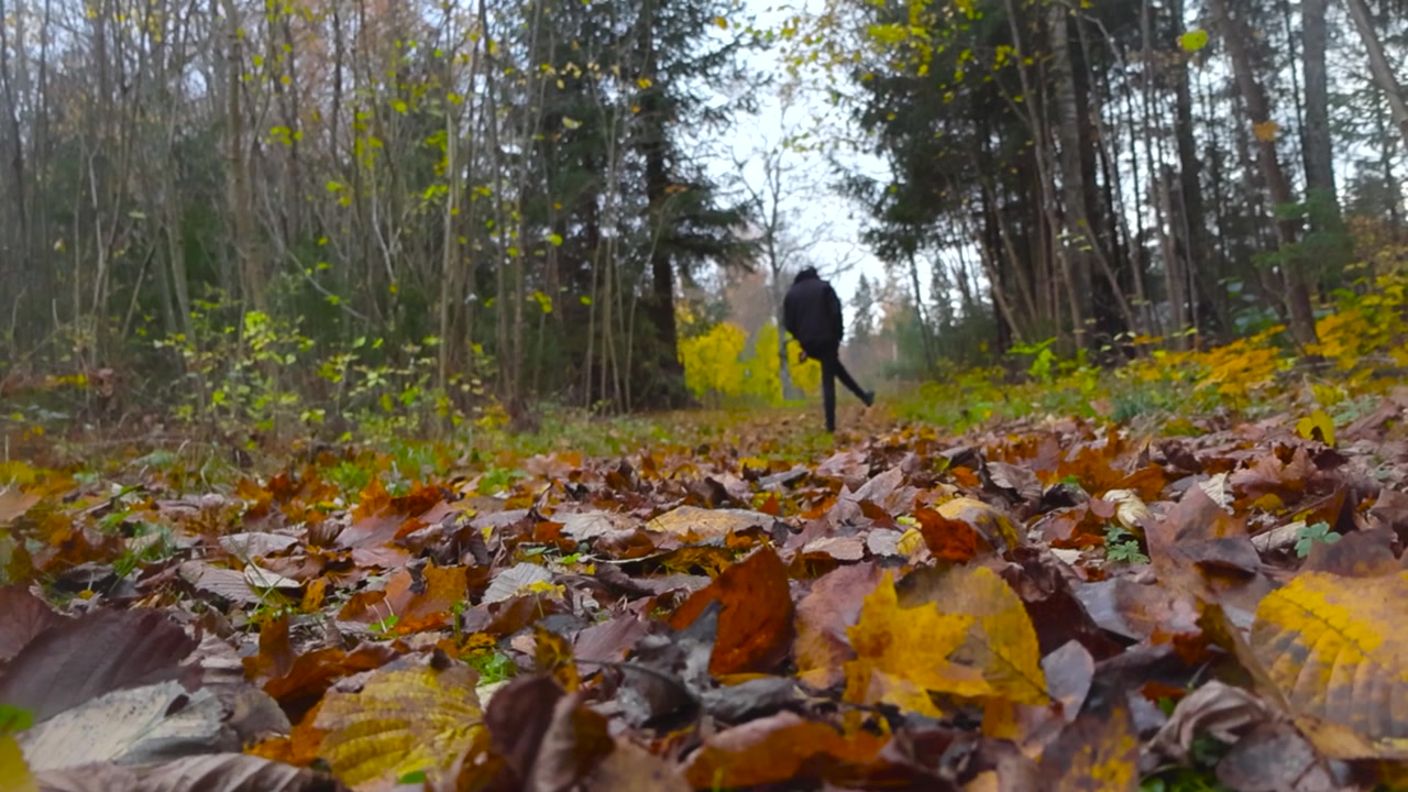 Man kicking and hitting leaves in slow motion in an autumn forest while a lot of yellow, golden brown leaves are on the ground on a forest pathway. Filmed from a ground perspective, close to ground.