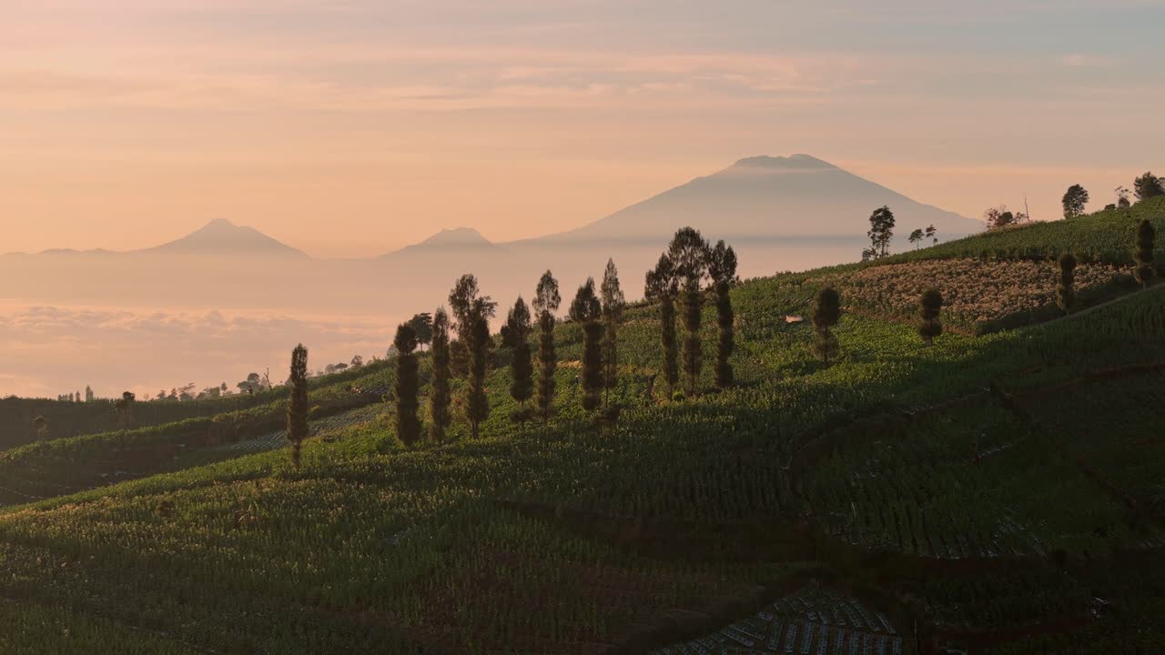 Aerial view of green farm terraces under a warm sky, with majestic mountains layered in the distance, gently veiled by early morning mist