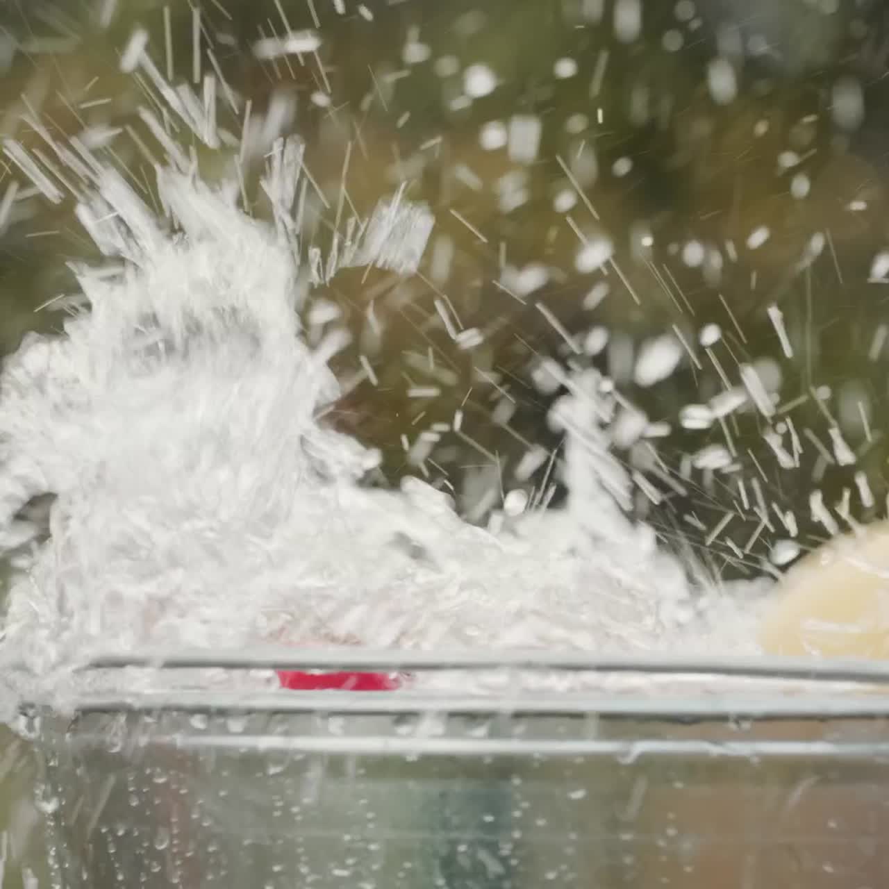 다양한 종류의 사과가 물통에 빠진다