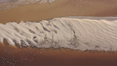 A-top-down-shot-over-a-shallow-brown-colored-creek