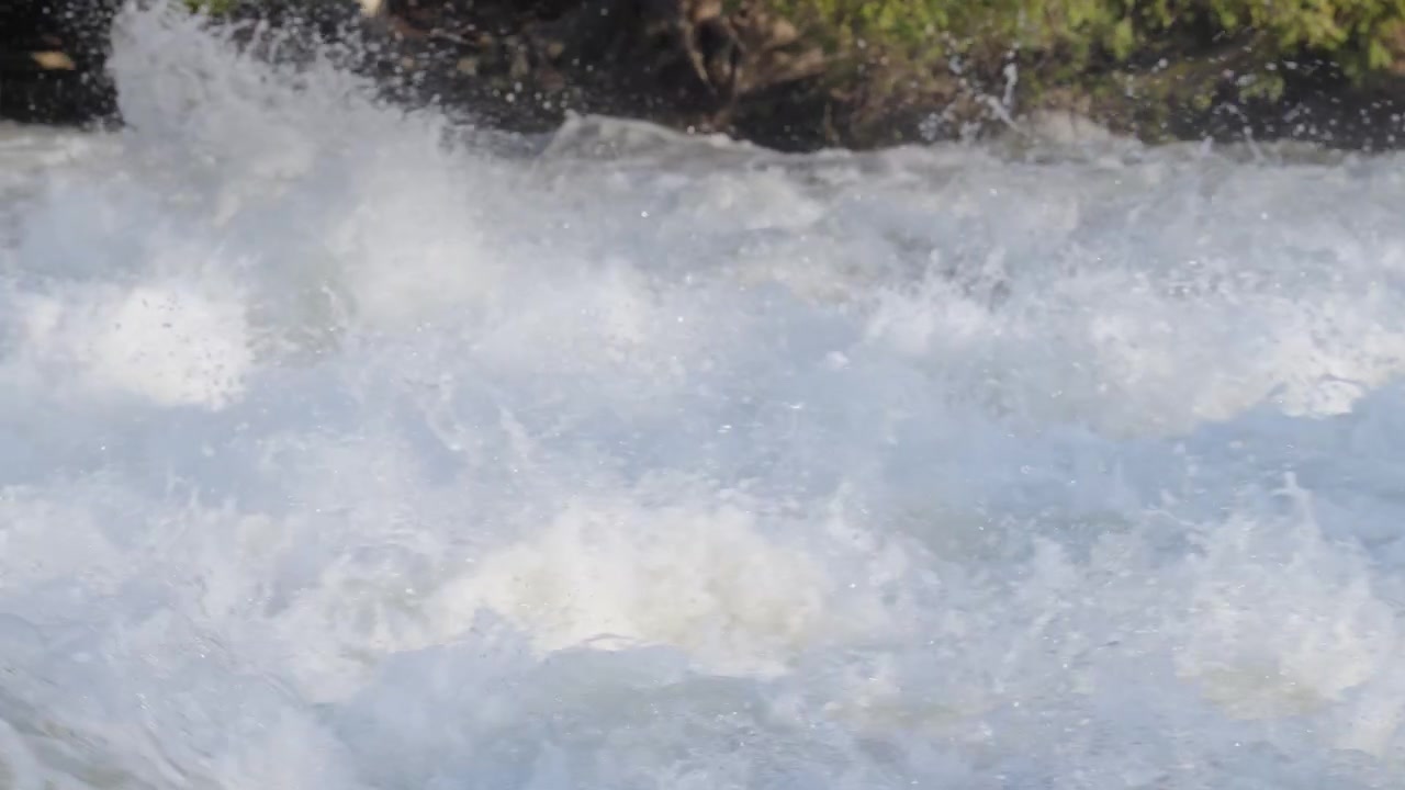 Una grande onda d'acqua bianca si infrange e si frange tra le potenti rapide del fiume alle cascate di Sauble. Spruzzi costanti e nebbia fitta aleggiano nell'aria sopra la corrente turbolenta.