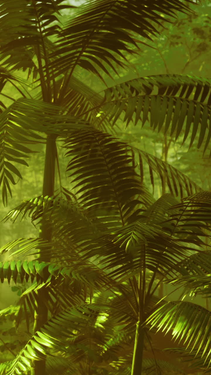 Plantas verdes altas criam um fundo denso numa floresta.