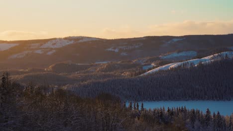 Idyllic-forest-landscape-during-cold-winter-day-in-Europe-in-the-evening---static-wide-shot