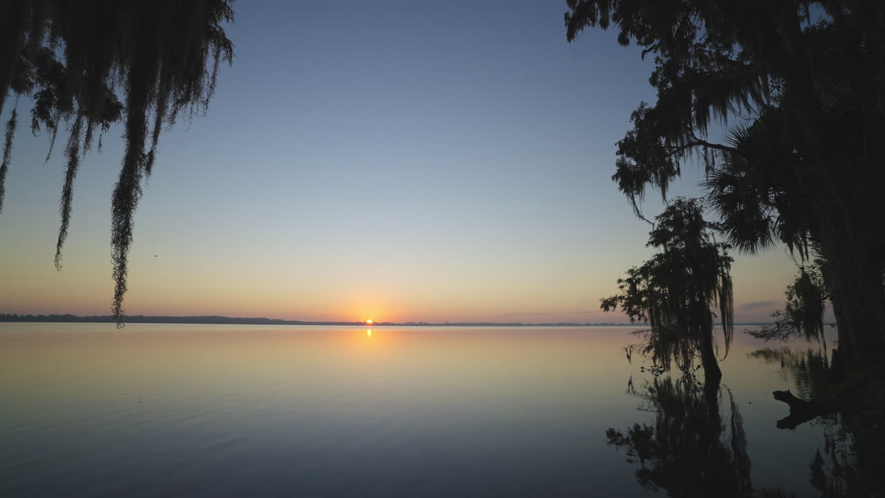 Cypress Tree Moss Lake Sunrise Landscape