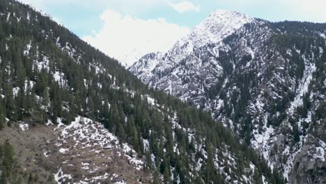 snow-covered mountain peaks surrounded by lush green trees