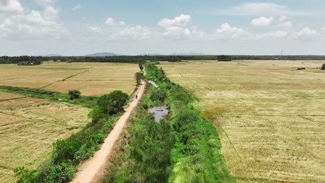 Las-Vistas-Aéreas-Abstractas-Y-Geométricas-De-Campos-Agrícolas-Con-Arroz-O-Maíz-Brindan-Una-Perspectiva-única