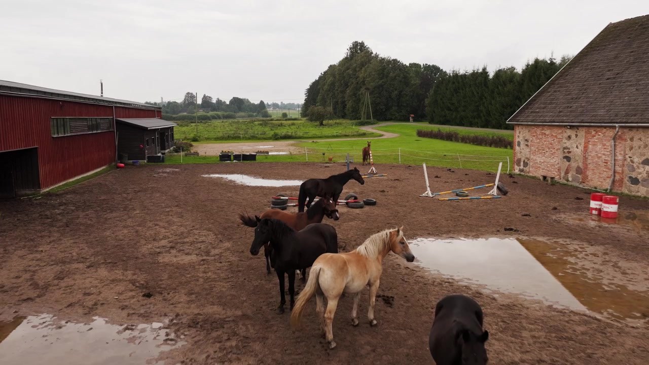 Dynamiske luftoptagelser fanger fredfyldt hesteliv nær landlige stalde.