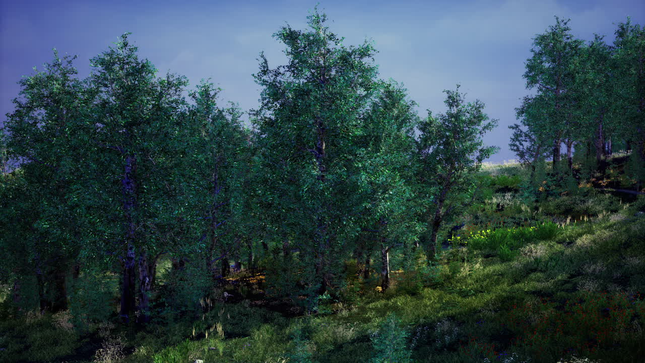 Lush green forest landscape under a bright blue sky during golden hour