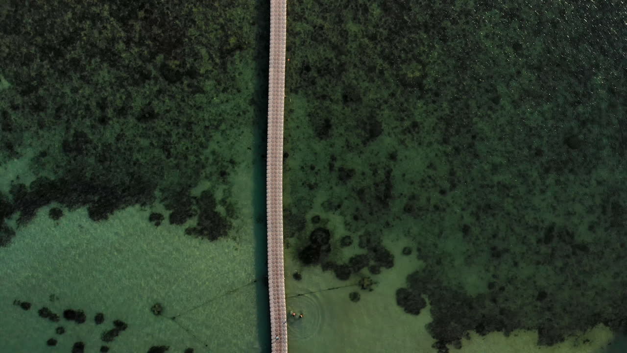 vista superior de un muelle flotante con corales en aguas cristalinas del océano