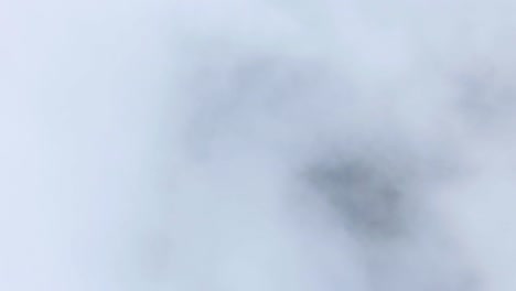 fondo gris claro borroso