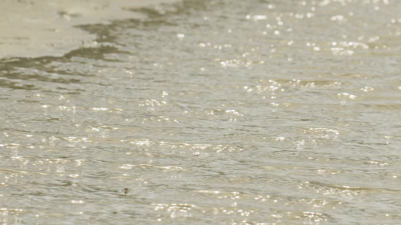 ⁇ 은 오후에 물로 가득 차 있는 조류 하천의 중간 근접 촬영