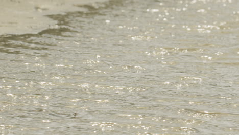 Medium-close-up-shot-of-a-tidal-creek-filling-with-water-on-a-sunny-afternoon