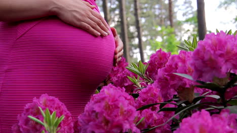 mujer embarazada vestida sostiene las manos en el vientre sobre el fondo natural del rododendro en el día de verano