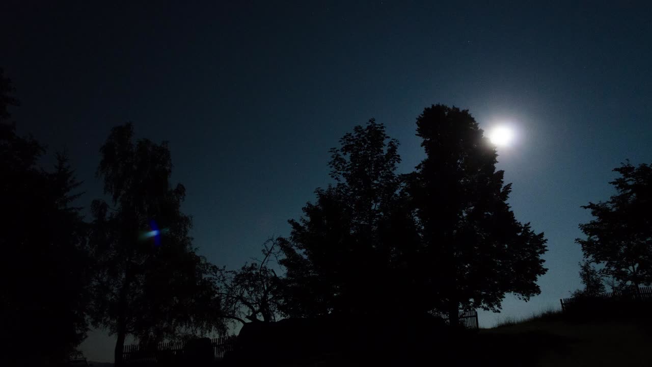Time lapse della luna notturna con alberi