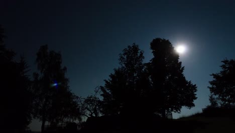 night-time moon time lapse with trees