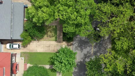 jeep driving under trees in suburban neighborhood