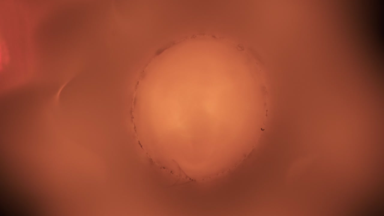 초점을 잃은 램프의 중앙에 아름다운 반이는 빛나는 노란색 보케